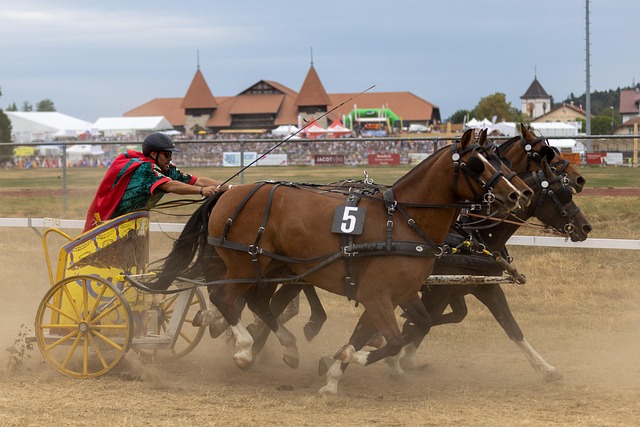 略使得任何 略使得任何